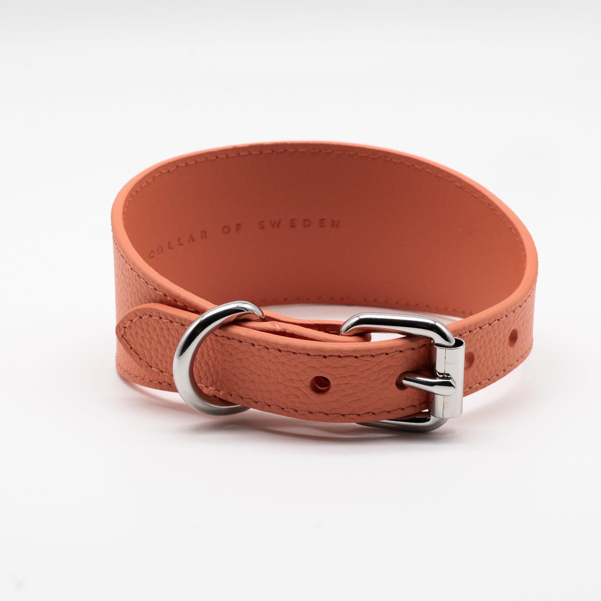 peach-dog-collar-wide-back.jpg